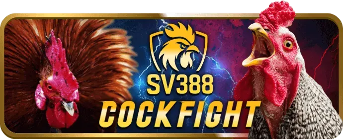 Mẹo cá cược 789b3 Nổ Hũ